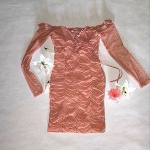 Off The Shoulder Mesh Dress